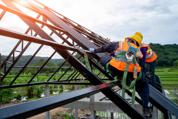 Best Storm Damage Roof Repair  in Olympia Fields, IL